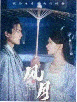 宝藏古装剧推荐 折枝记 下饭古装轻喜剧海报